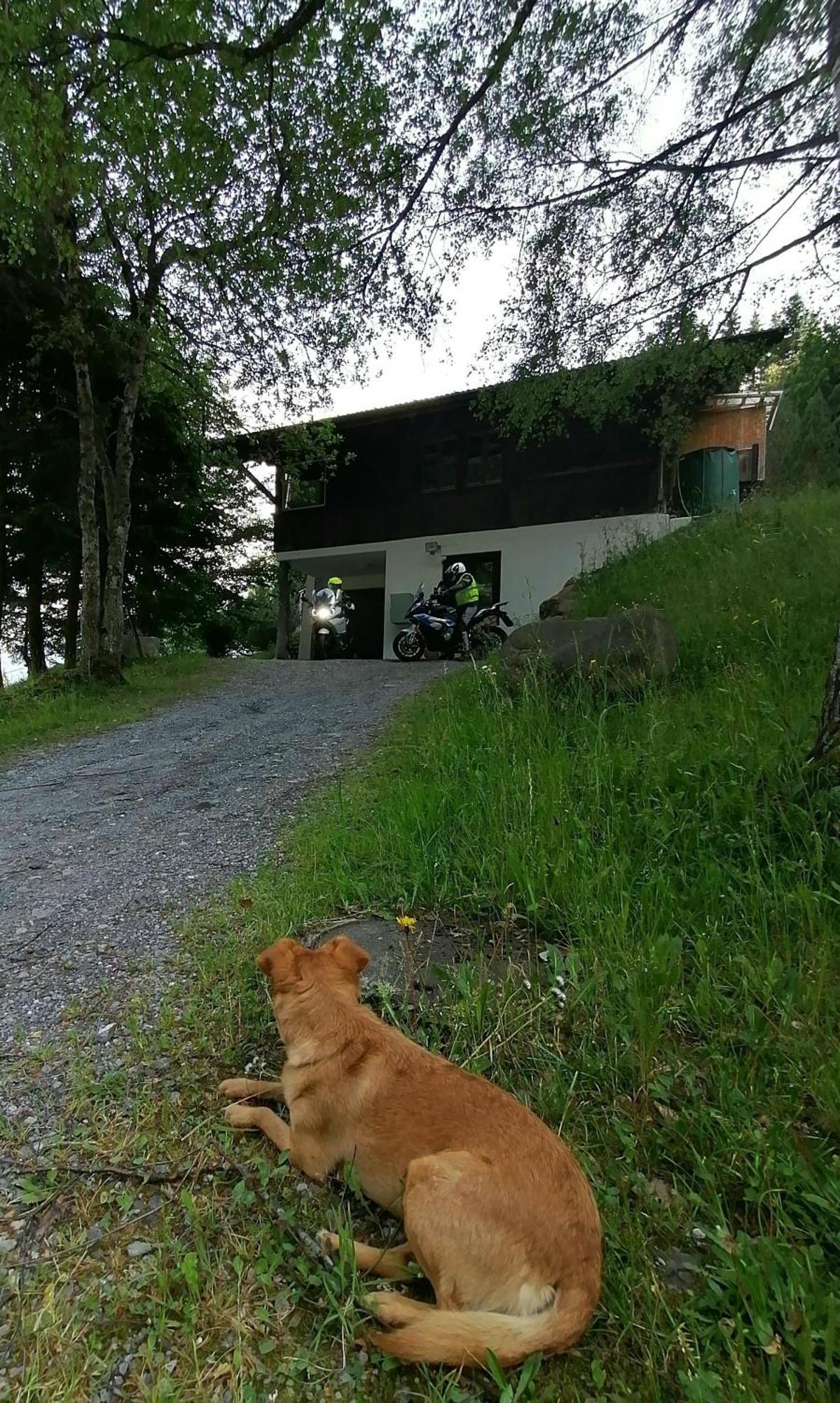 Gemuetliche Fewo Mit Sauna Inmitten Der Berge Meiringen Exteriör bild